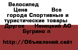 Велосипед Viva Castle › Цена ­ 14 000 - Все города Спортивные и туристические товары » Другое   . Ненецкий АО,Бугрино п.